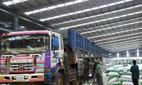 Doanh nghiệp xuất sang Trung Quốc bị từ chối thông quan do sáp nhập tỉnh, huyện, xử lý thế nào?