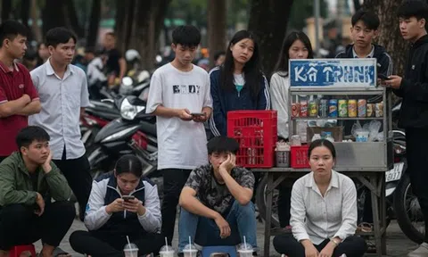 Hơn 1,3 triệu thanh niên rơi vào trạng thái 'không học, không làm"