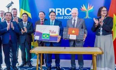 Hàng Việt sẽ hiện diện nhiều hơn ở Nam Mỹ