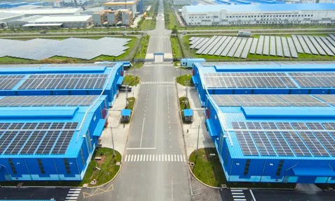 Khu kho cảng Thành Thành Công: Mắt xích logistics liền mạch và hiệu quả