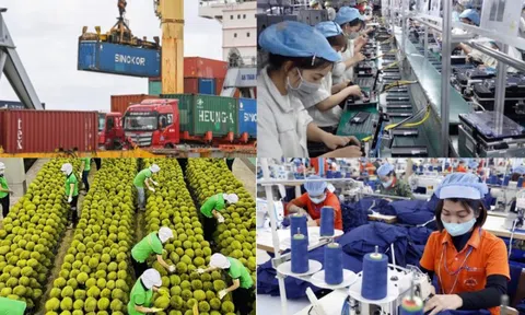 Vai trò của kinh tế đối ngoại trong thúc đẩy chuyển dịch cơ cấu ngành kinh tế tại Việt Nam từ năm 1986 đến nay