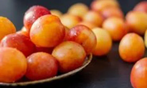 Gương phấn đấu của mận cơm, mận hậu