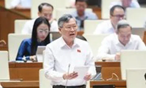 Hàng nhái đăng ký nhãn hiệu gần giống thương hiệu đang lưu hành, sau đó kiện ngược