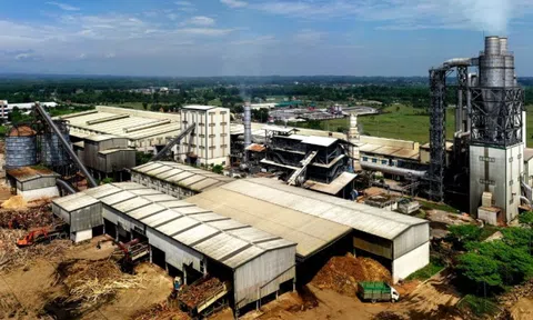 Lỗi đánh máy, một công ty gỗ đặt mục tiêu doanh thu cả triệu tỷ đồng, gấp 5 lần Hòa Phát, 3 lần Vingroup
