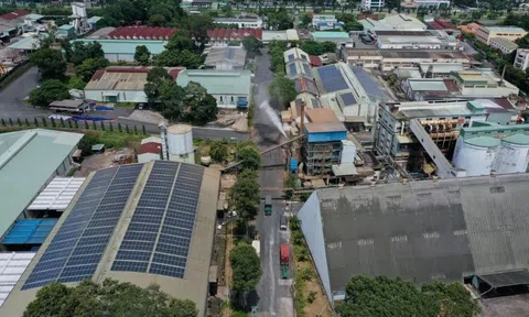 Một khu công nghiệp chấm dứt hợp đồng với toàn bộ các doanh nghiệp đang thuê kể từ ngày 1/8