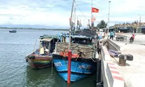 Hai thuyền trưởng tàu cá ở Quảng Ngãi bị phạt hành chính 125 triệu đồng