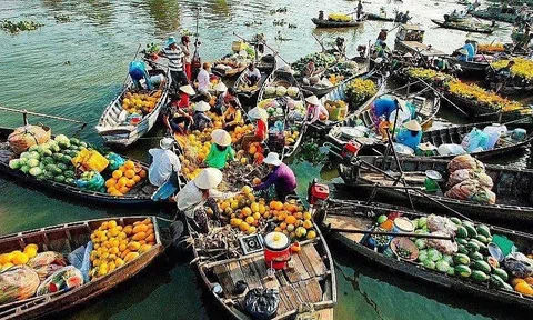 Tác động của vốn con người đến chất lượng tăng trưởng vùng kinh tế trọng điểm Đồng bằng sông Cửu Long