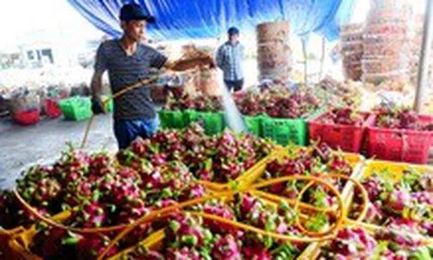 Xuất khẩu đi châu Âu gặp khó vì thiếu chứng nhận an toàn thực phẩm