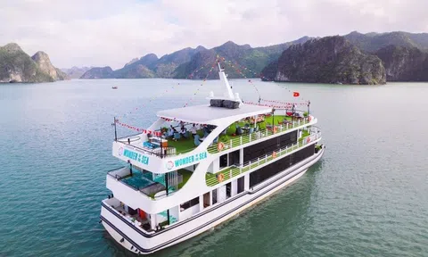Tạm dừng toàn bộ tour du thuyền Hạ Long để tránh bão