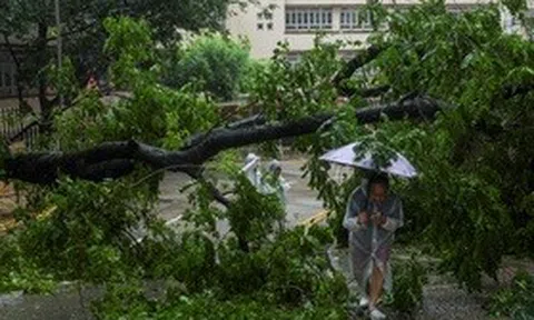 Bão Wipha quét qua Trung Quốc: 33 người bị thương, 500 chuyến bay bị hủy
