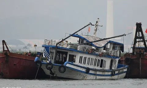 Lật tàu Hạ Long: Cảnh báo khoảng trống nguy cơ và 4 nguyên tắc thoát hiểm