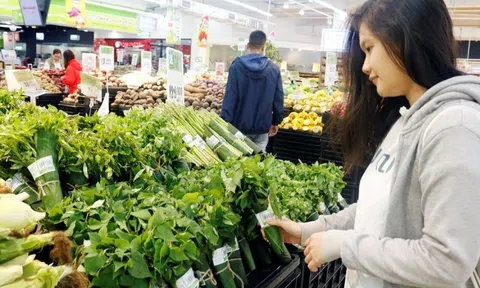 Các yếu tố ảnh hưởng đến hành vi tiêu dùng bền vững của sinh viên trên địa bàn Hà Hội