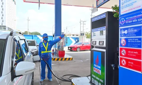 PV OIL và Petrolimex “chốt thí điểm” bán xăng E10 tại 3 thành phố lớn từ ngày 1/8
