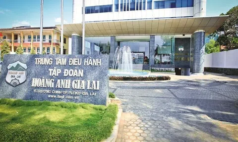 Danh tính 6 trái chủ sắp hoán đổi 2.520 tỷ đồng nợ của HAGL thành cổ phiếu: Chủ nợ lớn nhất là công ty liên quan đến hệ sinh thái Hướng Việt