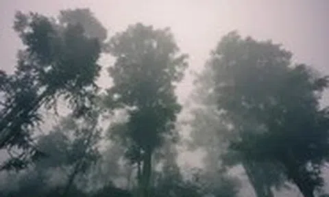 'Làng địa ngục' Sảo Há của Andy Trung