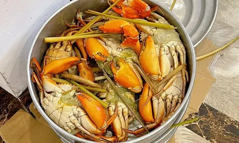 Gia đình ở Hà Nội mang 15kg cua, 100 quả trứng du lịch Sầm Sơn