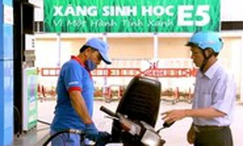 Xăng E10 thay xăng khoáng, ông lớn chiếm 50% thị phần thí điểm tại TP.HCM từ 1-8