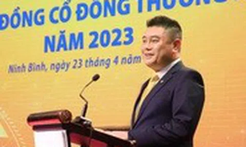 Lãi ngân hàng nơi bầu Thụy làm chủ tịch chững lại, doanh nghiệp liên quan làm ăn ra sao?