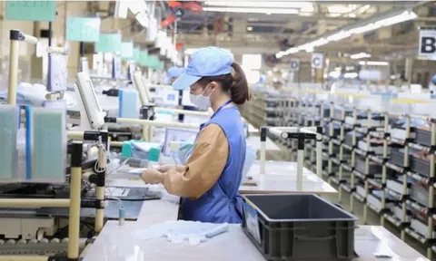 Yếu tố ảnh hưởng đến quyết định chuyển đổi số của các doanh nghiệp tư nhân nhỏ và vừa ở TP. Hải Phòng