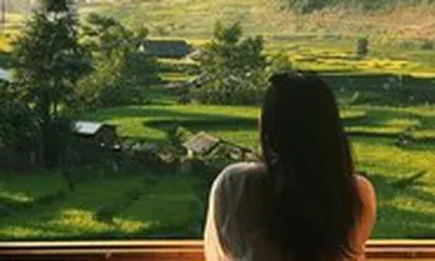 Khung cảnh 'tuyệt đối điện ảnh' mùa lúa xanh ở Sa Pa