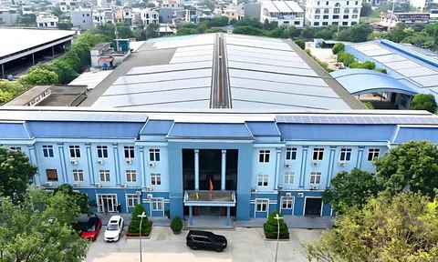 CTCP Damsan lợi nhuận 6 tháng đầu năm 2025 tăng đột biến