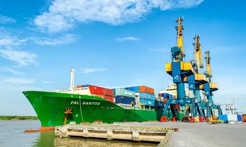 Công ty sở hữu đội tàu container lớn nhất Việt Nam báo lãi sau thuế quý 2/2025 gấp 3 lần cùng kỳ, lập đỉnh lợi nhuận