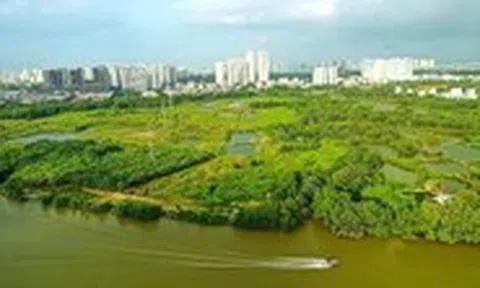Hai đại gia mới cho Quốc Cường Gia Lai vay 230 tỉ đồng là ai?