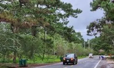 Măng Đen cảnh báo tình trạng lấn chiếm đất công, siết chặt quản lý để phát triển du lịch bền vững