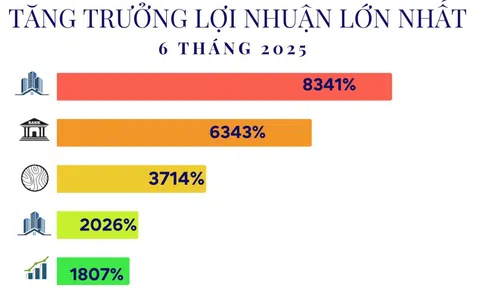 15 công ty tăng trưởng lợi nhuận 'khủng' nhất 6T2025: Đứng đầu là doanh nghiệp của tỷ phú Phạm Nhật Vượng, ngành điện góp mặt nhiều nhất