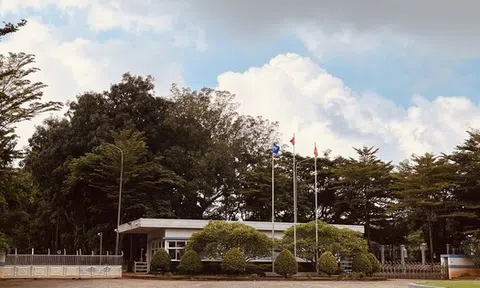 Công ty TNHH Pou Sung Việt Nam bị phạt 705 triệu đồng