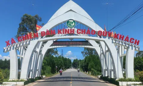Lý do 2 cựu lãnh đạo xã ở Đà Nẵng bị khởi tố vẫn đang đi làm