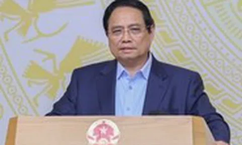 Hộ kinh doanh thành lập mới tăng 168%, Thủ tướng nêu giải pháp đưa lên doanh nghiệp