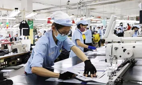 Xu hướng thu nhập cá nhân người lao động trong các doanh nghiệp nhỏ và vừa ở Việt Nam