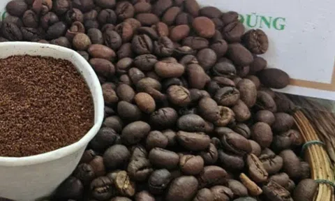 Giá cà phê bật tăng mạnh