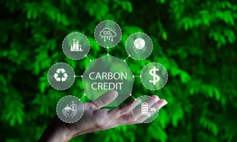 Thực trạng thị trường tín chỉ carbon vùng Trung du và miền núi phía Bắc(*)