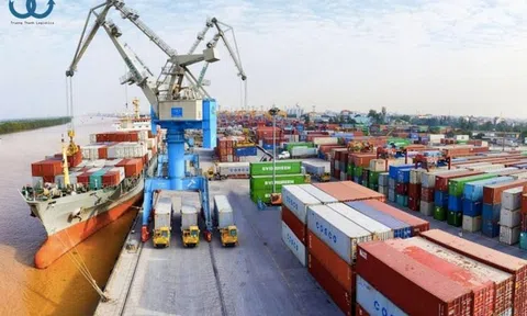 Kết quả tổ chức bền vững thông qua lãnh đạo số và văn hóa số: Nghiên cứu tại các doanh nghiệp giao nhận TP. Hồ Chí Minh
