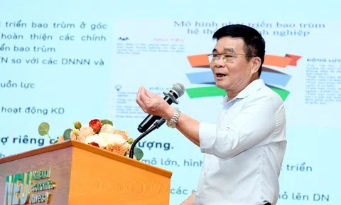 Kinh tế tư nhân có dấu hiệu 'hụt hơi', nhiều doanh nghiệp không muốn lớn