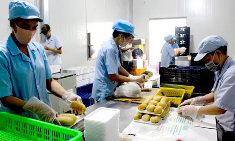 Các yếu tố ảnh hưởng đến kết quả kinh doanh của doanh nghiệp nhỏ và vừa tại Hà Nội