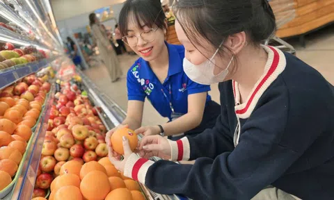 Cam Úc hảo hạng giảm sốc chỉ 81.900 đồng/kg tại Co.opmart và Co.opxtra