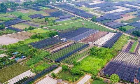Nhiều quy định mới về đất đai có hiệu lực từ ngày 15-8
