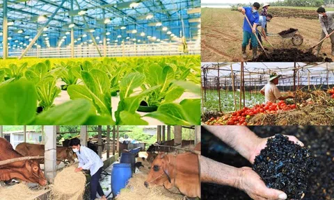 Giải pháp phát triển nông nghiệp tuần hoàn ở Việt Nam