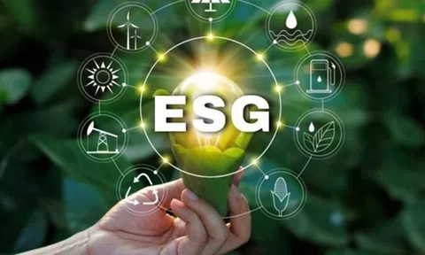 Tác động của ESG đến ý định sử dụng dịch vụ tại các ngân hàng thương mại cổ phần trên địa bàn TP. Hồ Chí Minh