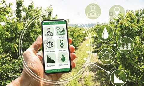Các yếu tố ảnh hưởng đến hành vi chuyển đổi số trong hợp tác xã tại tỉnh Quảng Ngãi(*)