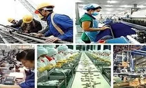 Phát triển bền vững nền kinh tế tư nhân tại Việt Nam: Thực trạng và giải pháp