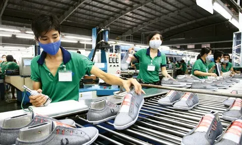 Nghiên cứu hành vi đổi mới của người lao động trong doanh nghiệp da giày