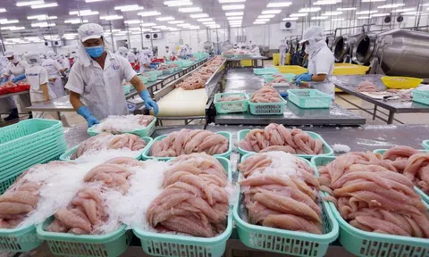 Nhận diện các yếu tố ảnh hưởng tới chuỗi cung ứng ngành thủy sản vùng Đồng bằng sông Cửu Long(*)