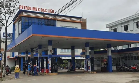 Giải pháp nâng cao động lực làm việc của người lao động tại Petrolimex Bạc Liêu