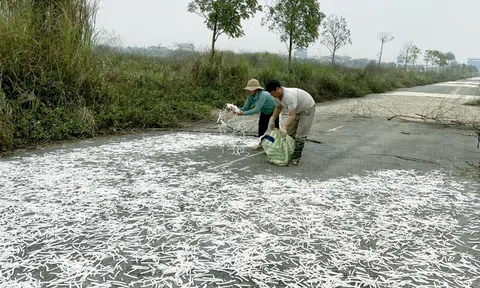 Sửa Luật Đất đai, khơi thông nguồn lực