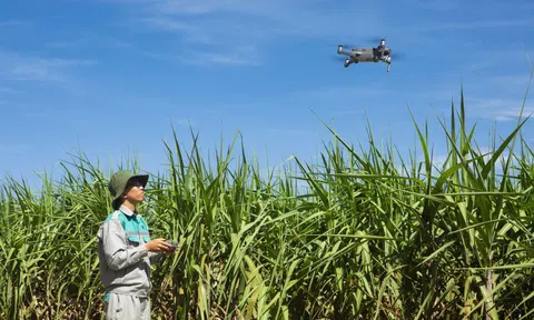 Nâng tầm nông nghiệp Việt bằng dữ liệu và số hóa