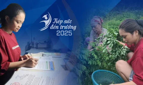 9 lần mổ giành giật sự sống, vắng tình thương cha mẹ, tốt nghiệp điểm văn cao nhất trường